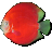Alternate Text