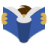Alternate Text