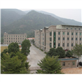 金旺