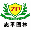 邓志平