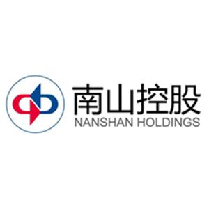 深圳市新南山控股(集团)股份有限公司