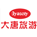 大唐国际