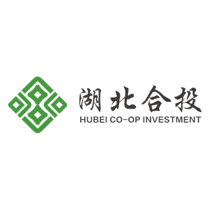 湖北合作投资集团有限公司