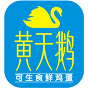 凤集