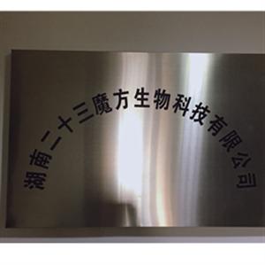 二十三