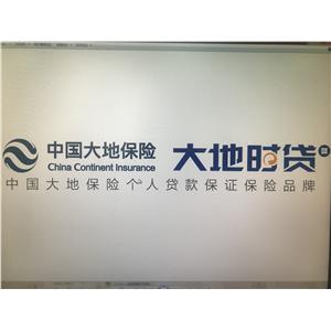 大地财产