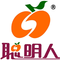 广东聪明人集团有限公司