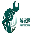 城农网