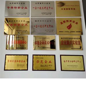 山东麦德盈华科技有限公司