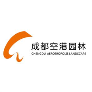 国际空港