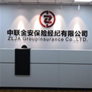 中联金安