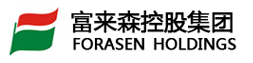 富来森控股集团有限公司