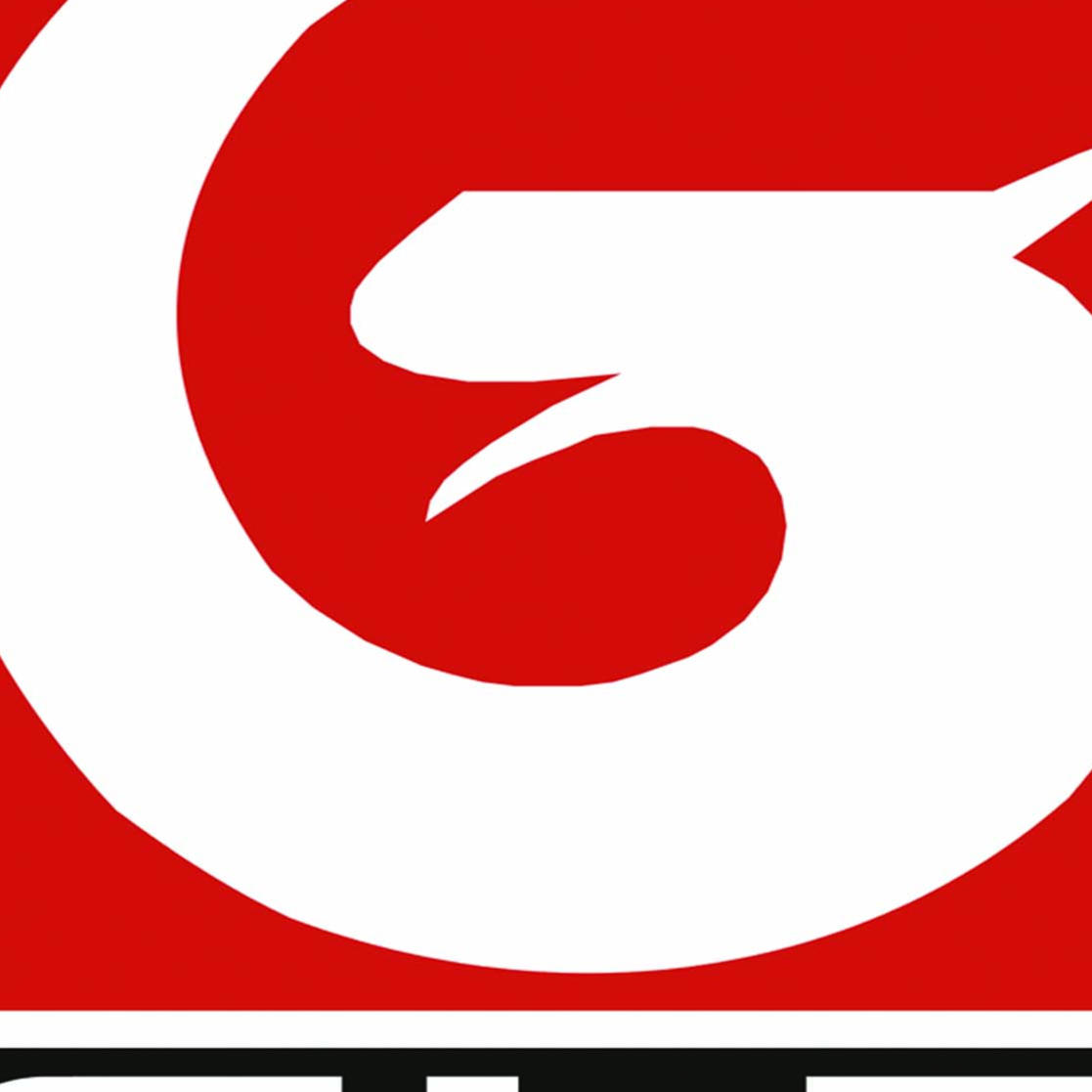港龙股份