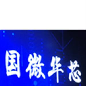 国微华芯