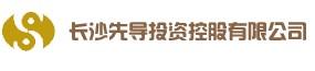 先导投资