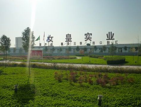 亨达集团