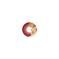 上海泽喜资产管理有限公司