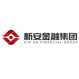 新安金融