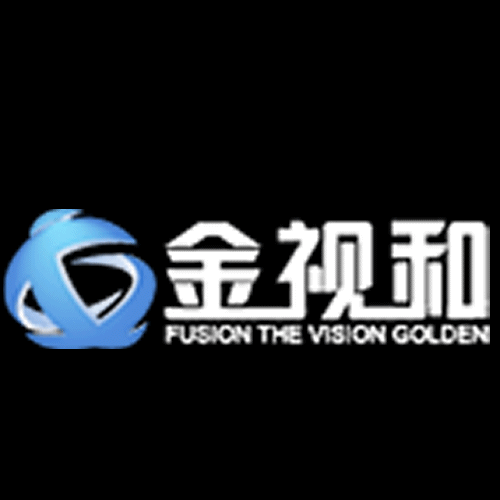 金视和
