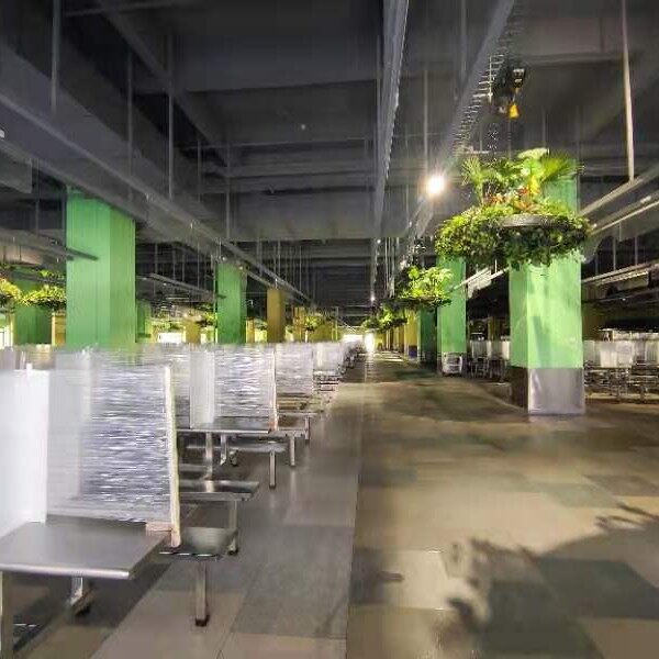 东莞市中企劳务派遣有限公司