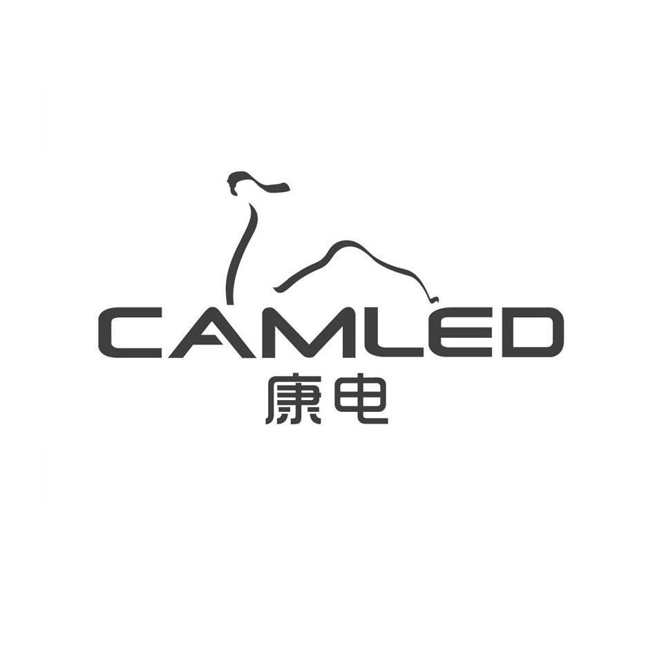 泉州市康电光电科技股份有限公司