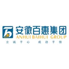 安徽百惠投资发展集团有限公司