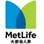 中美联泰