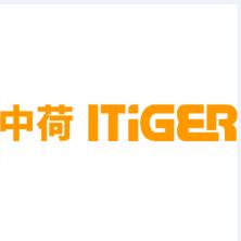 中荷电子