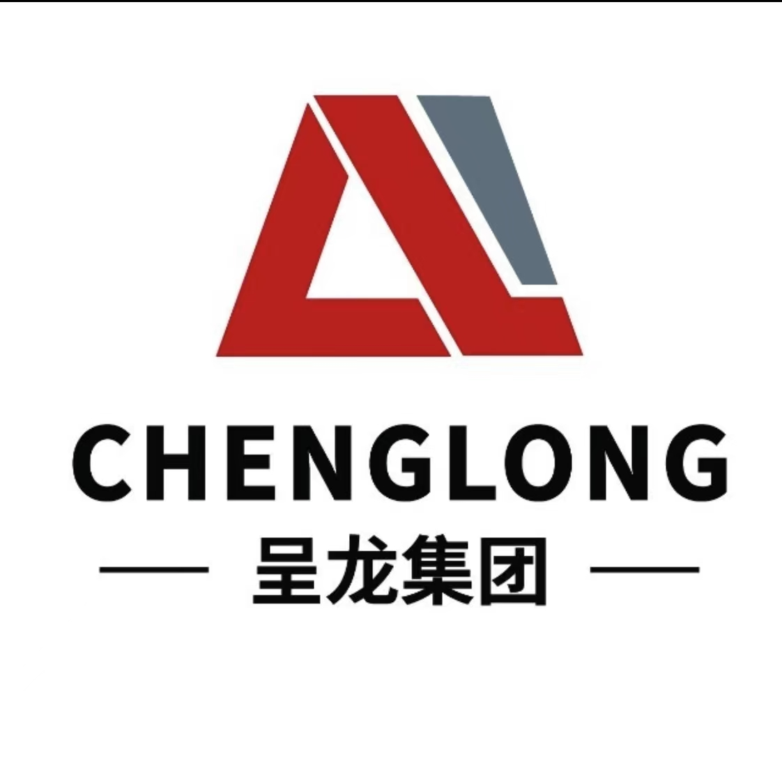 呈龙集团有限公司