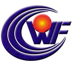 河北文丰实业集团有限公司