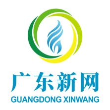 广东新网工程技术有限公司