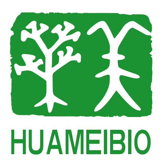 华美医药