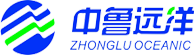 中鲁